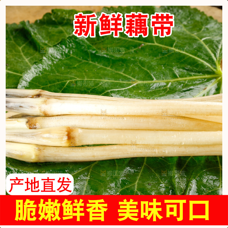 藕带