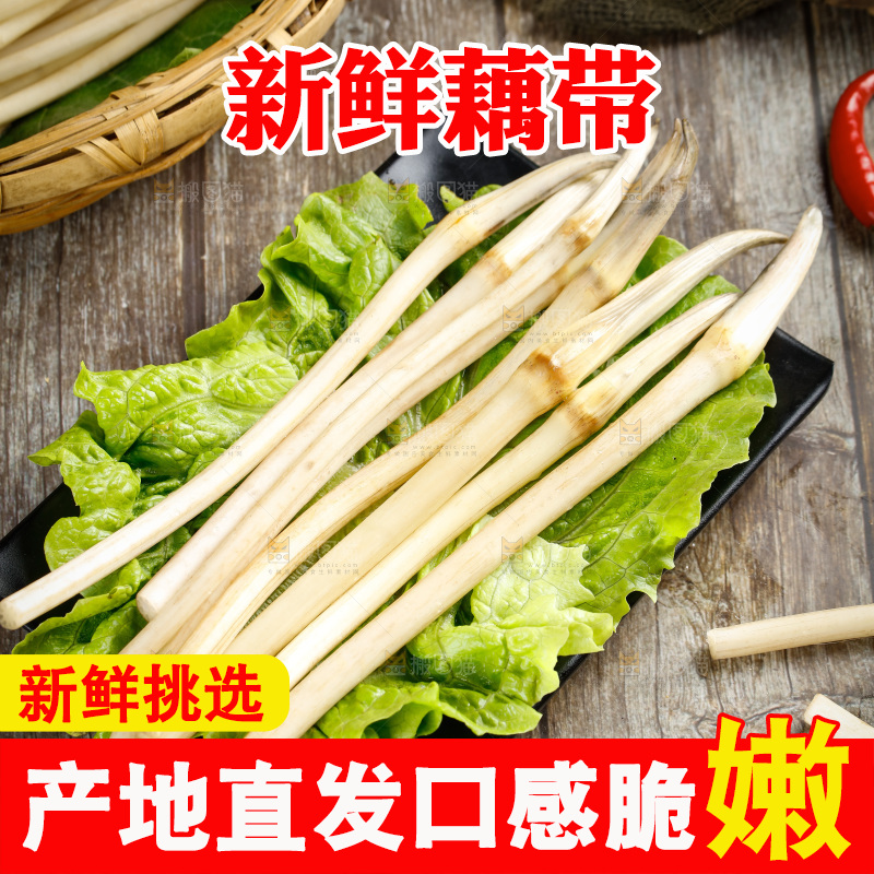 藕带