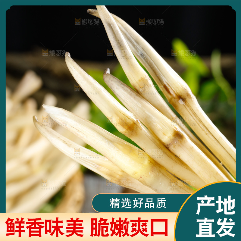 藕带