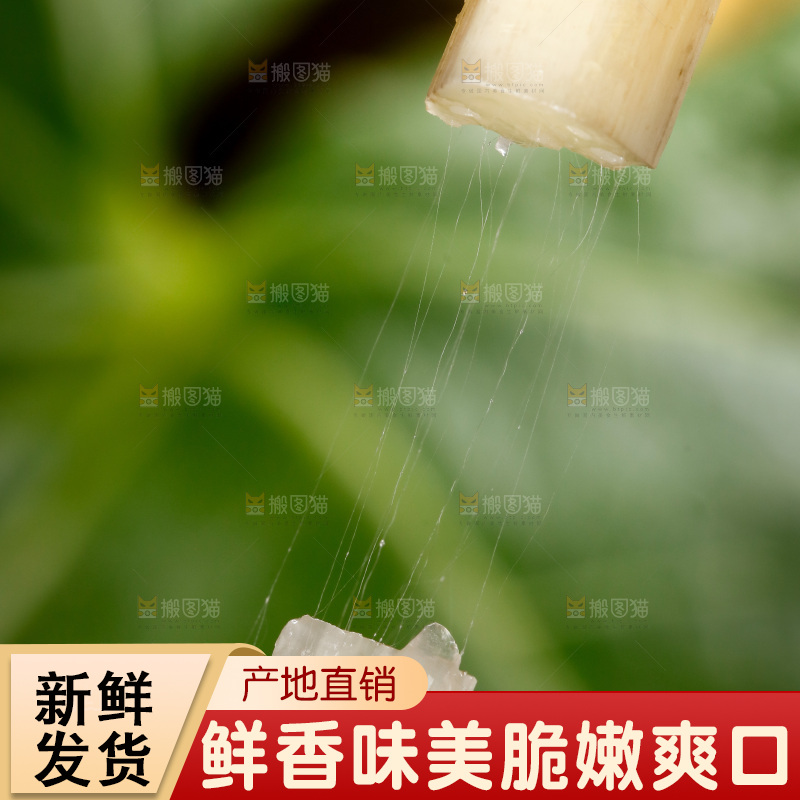 藕带