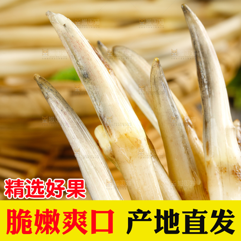 藕带