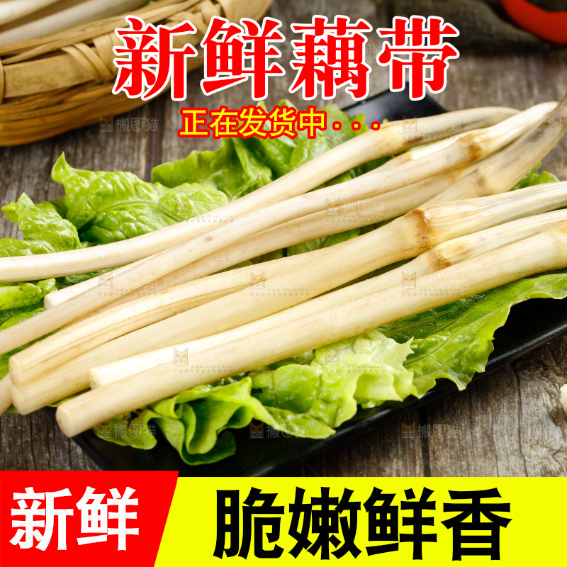 藕带