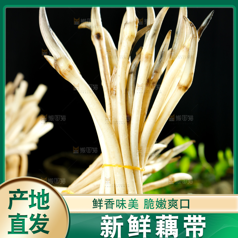 藕带