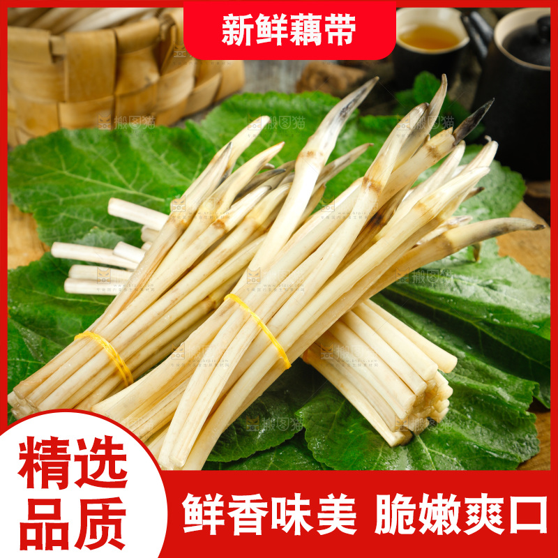 藕带