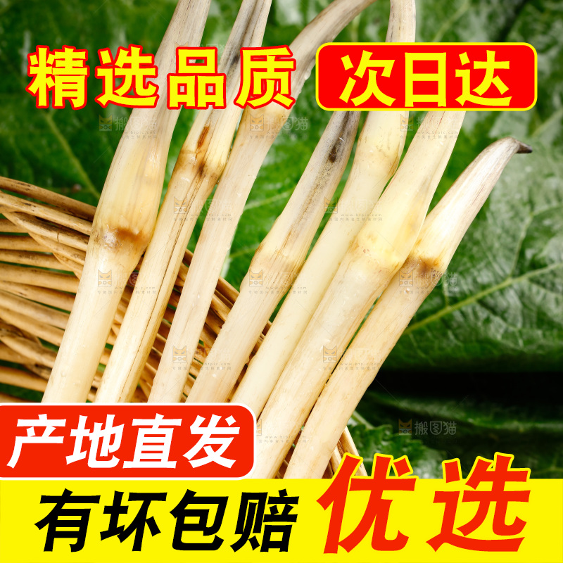 藕带
