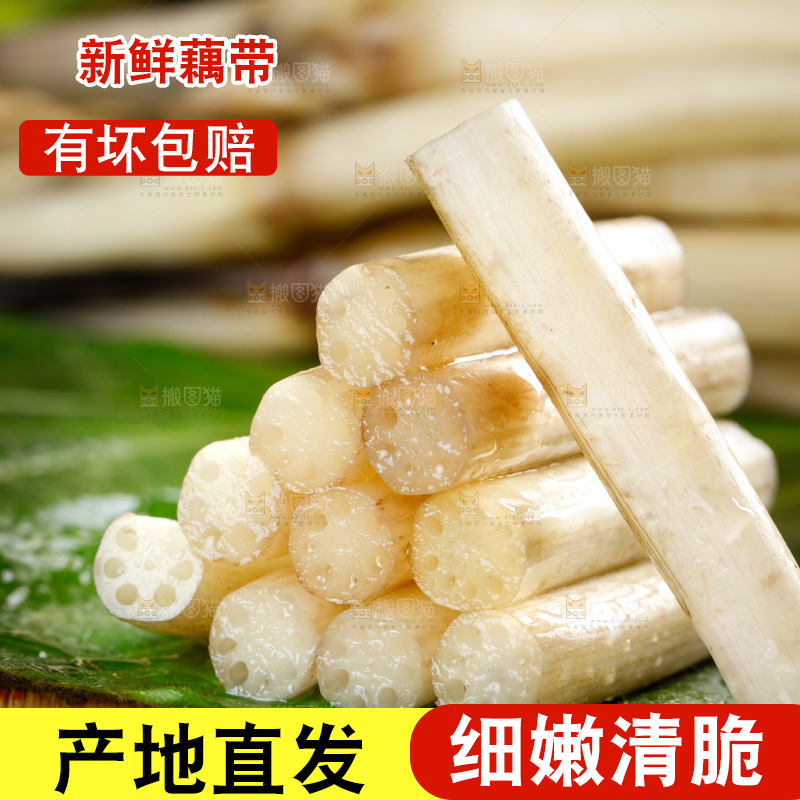 藕带