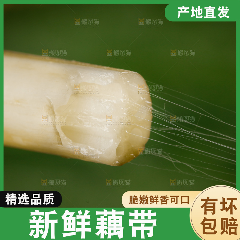 藕带