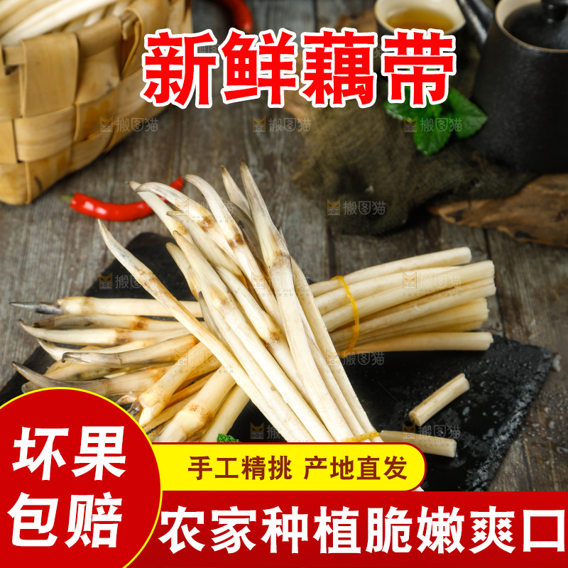 藕带