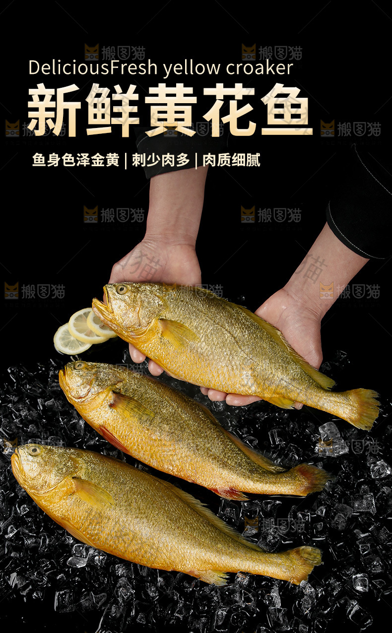 黄花鱼详情页