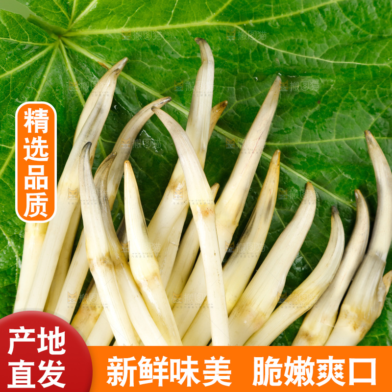 藕带