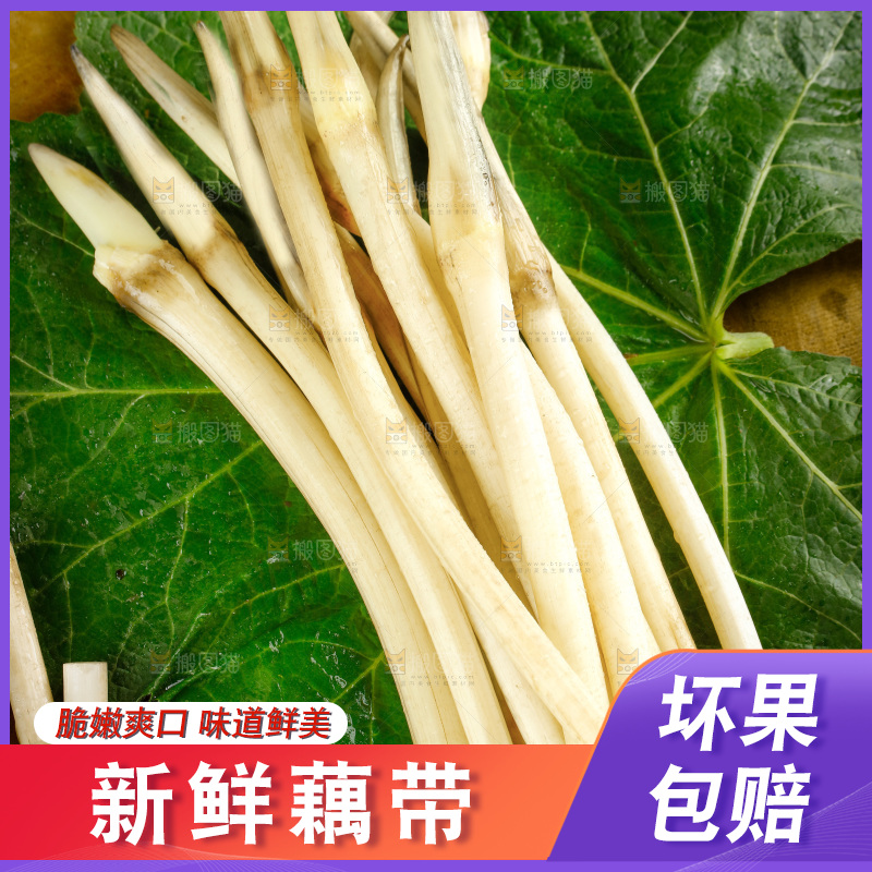 藕带