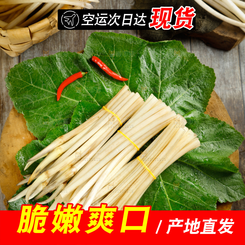 藕带