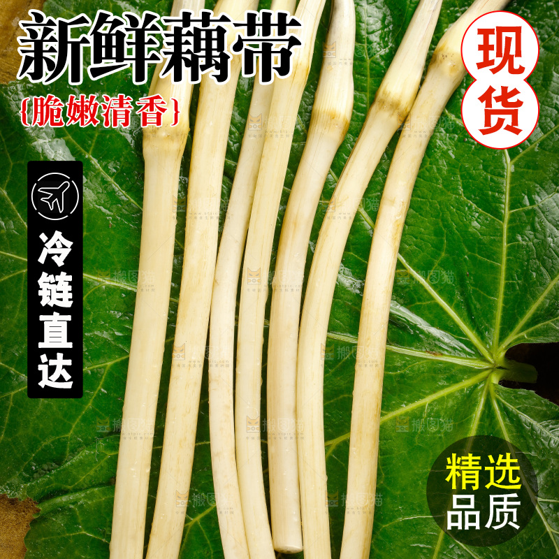藕带