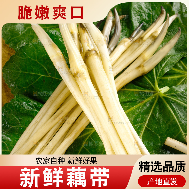 藕带