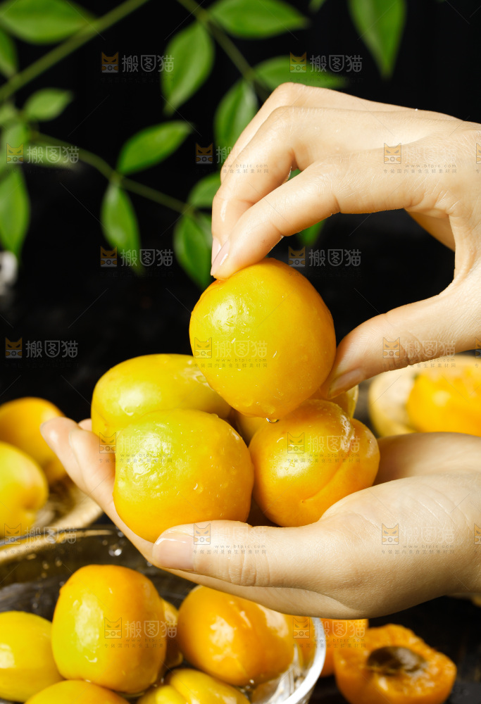 李广杏