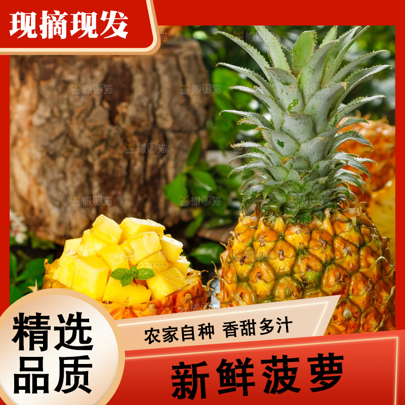 菠萝