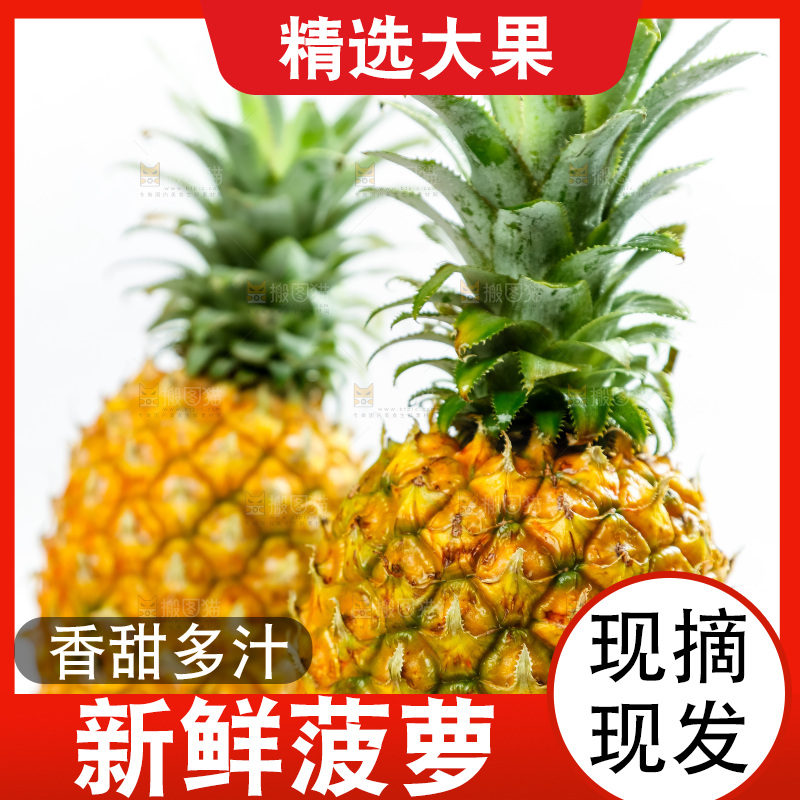 菠萝