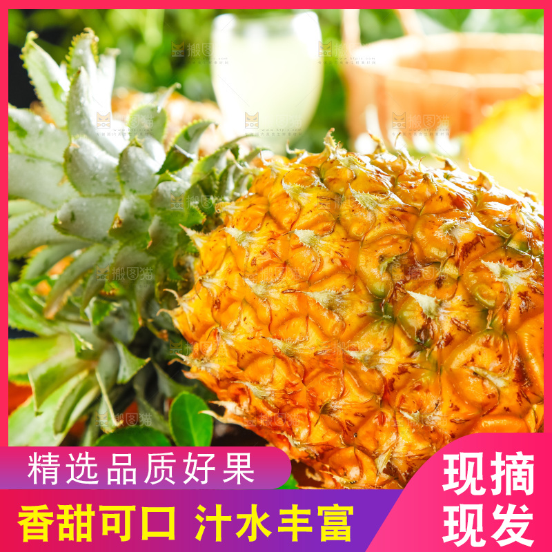 菠萝