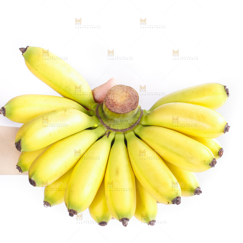 皇帝蕉
