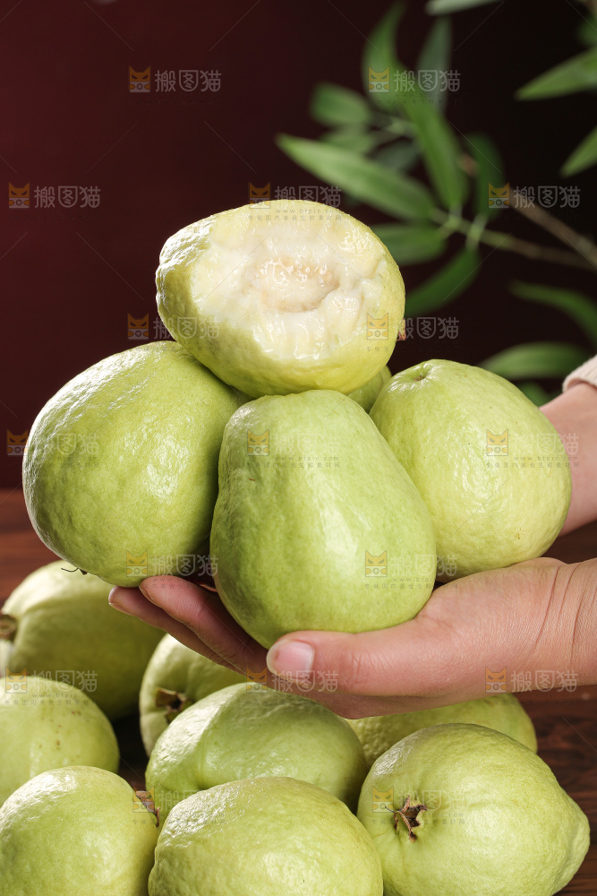白心芭乐