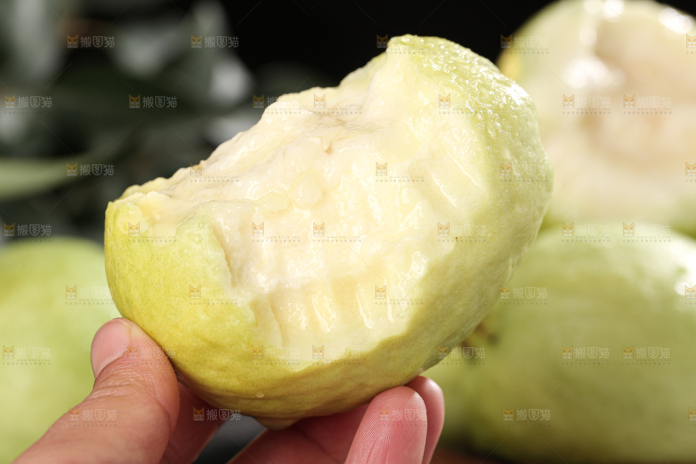 白心芭乐