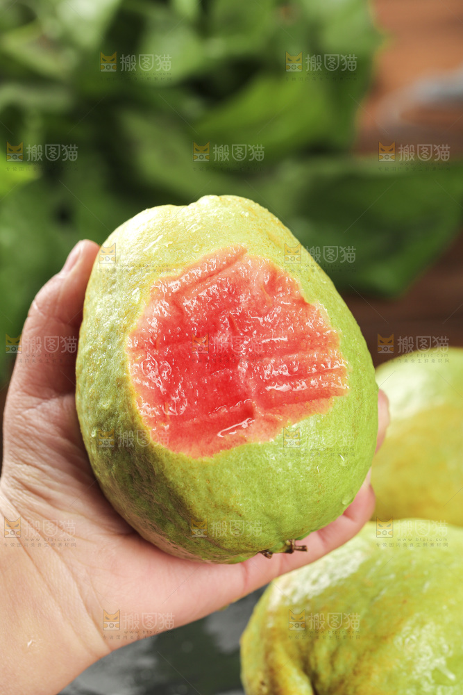 红心芭乐