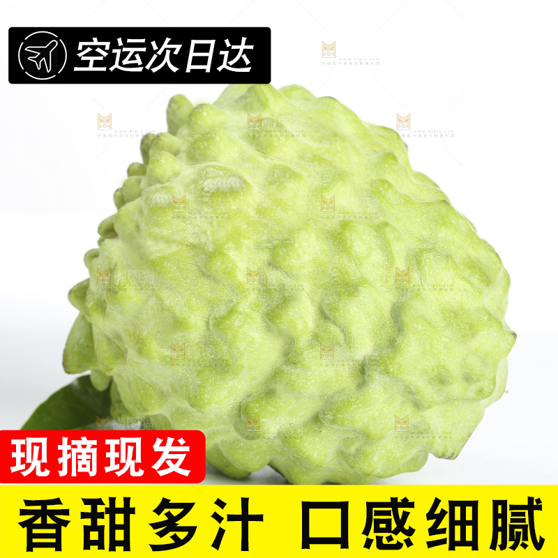 释迦果
