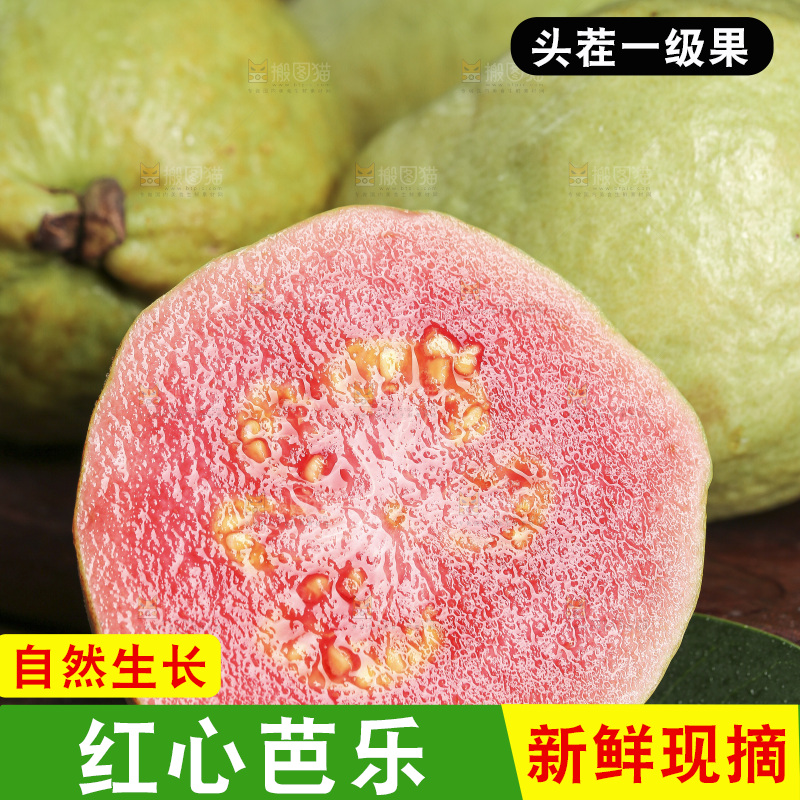 红心芭乐