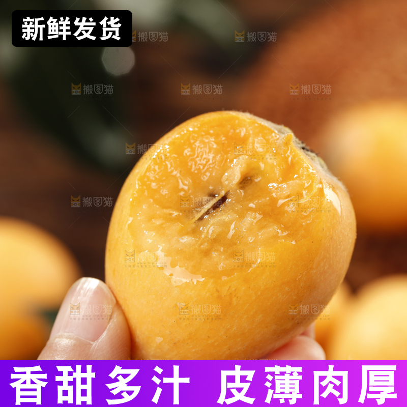 枇杷