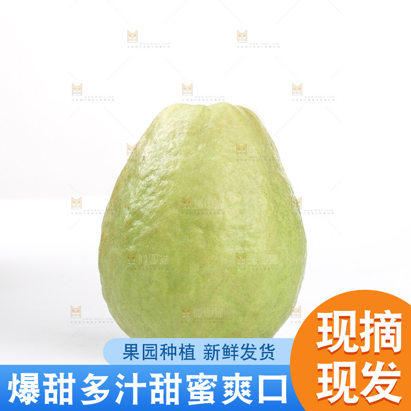 红心芭乐