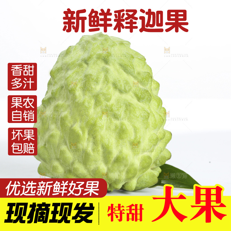 释迦果