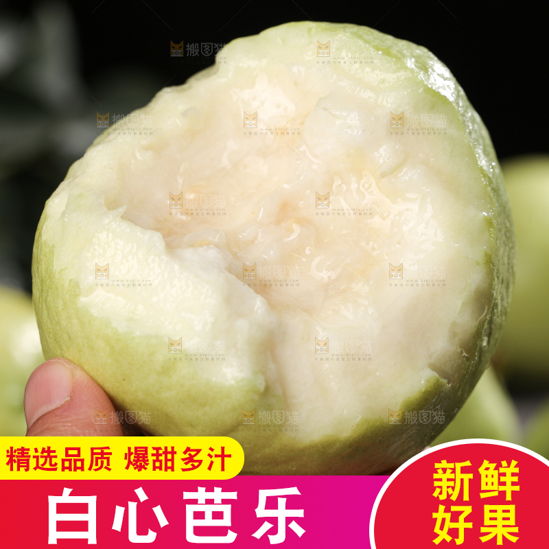 白心芭乐