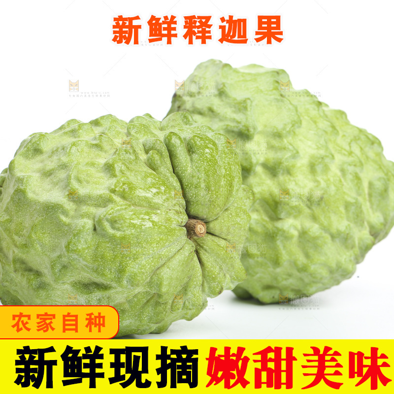 释迦果