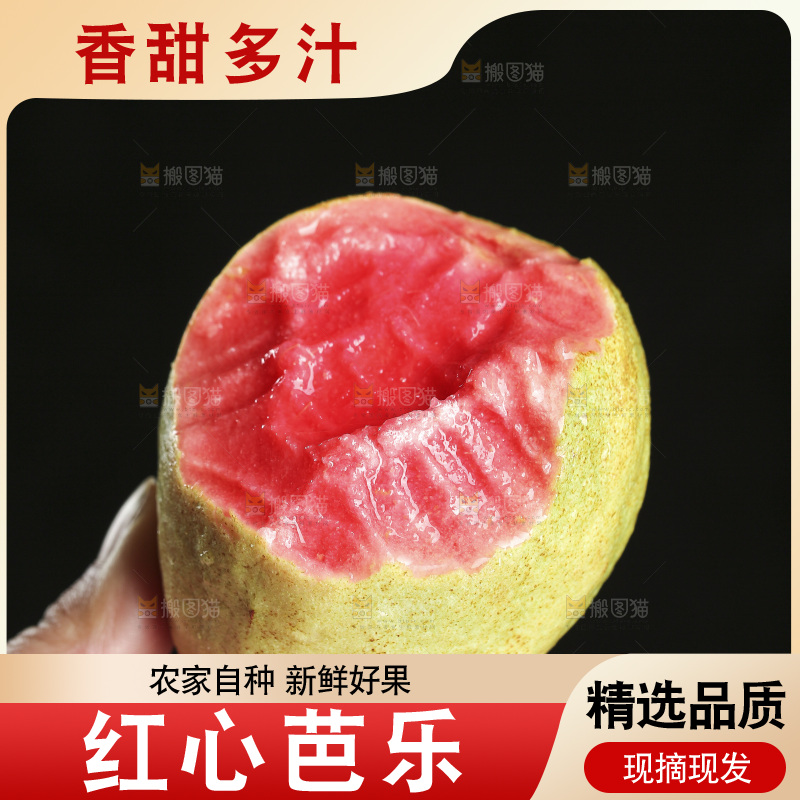红心芭乐