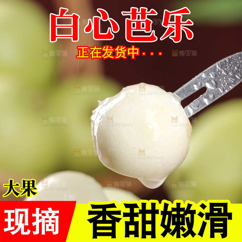 白心芭乐