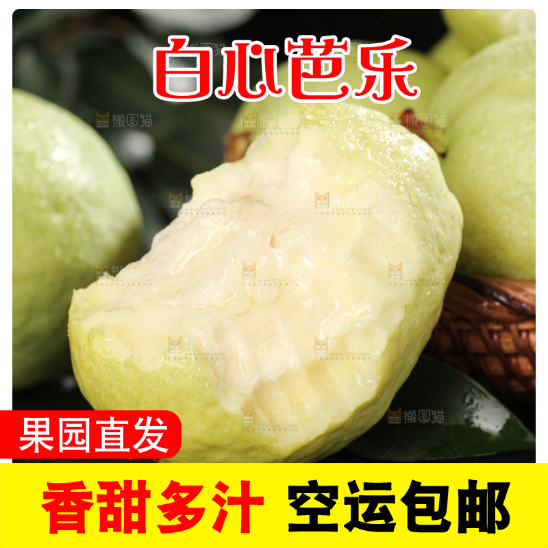 白心芭乐