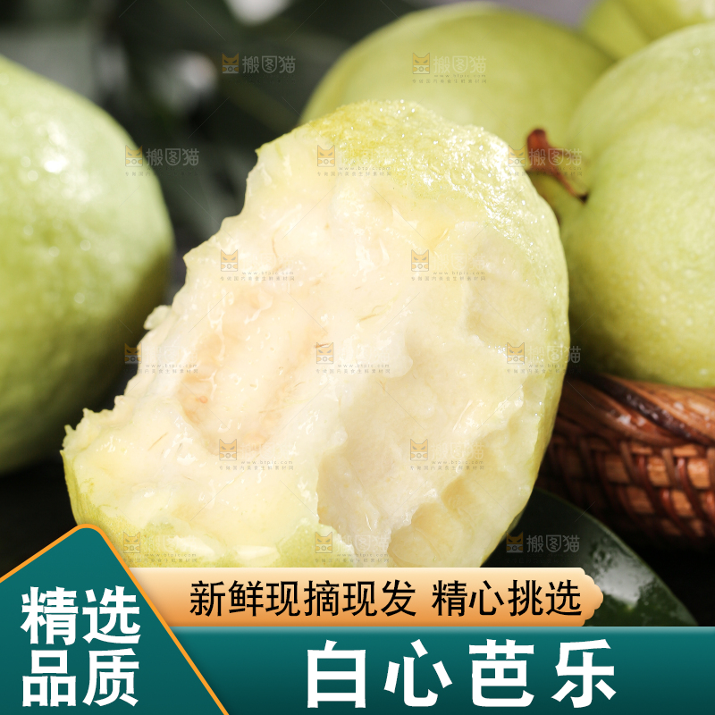 白心芭乐