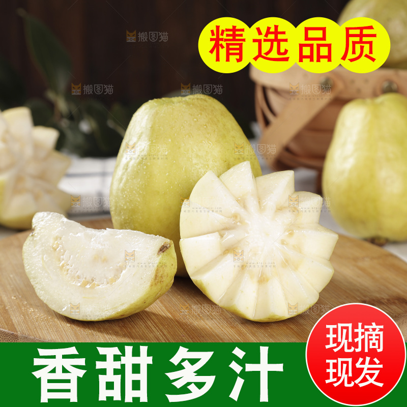 白心芭乐