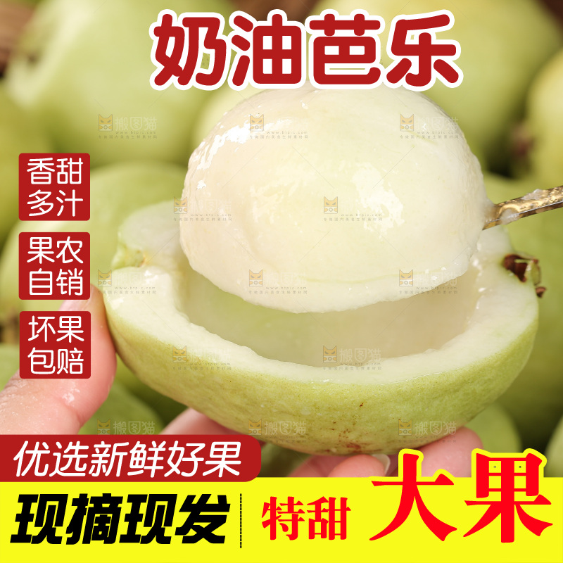 白心芭乐