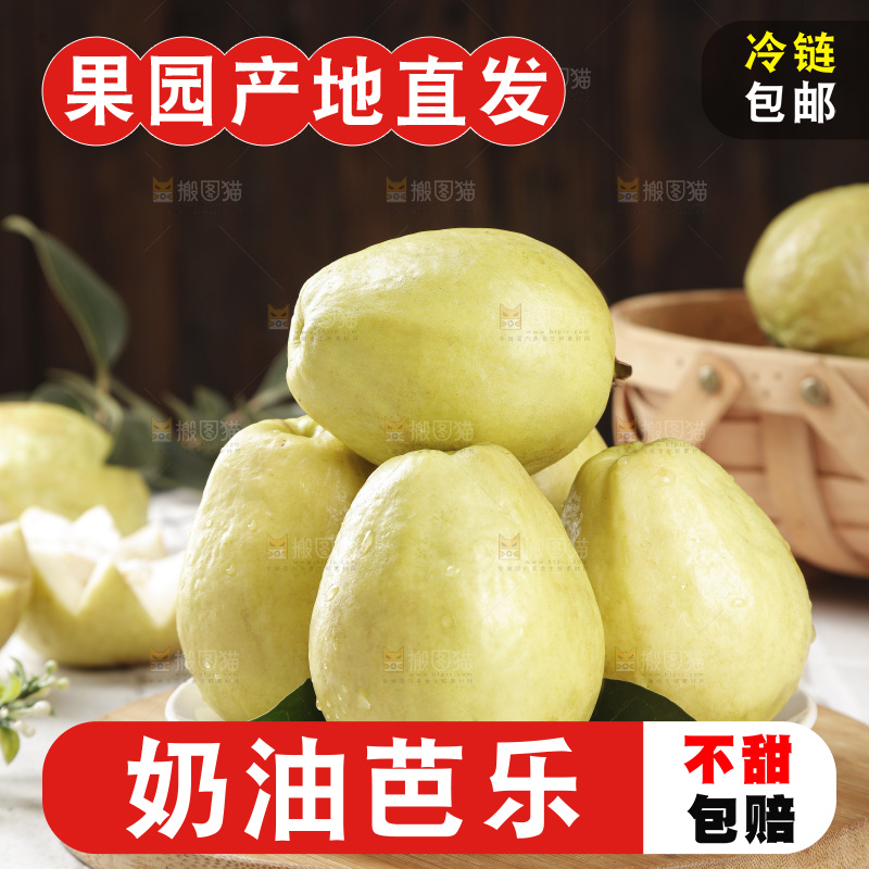 白心芭乐