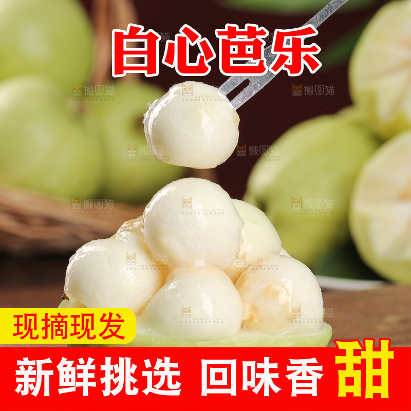 白心芭乐