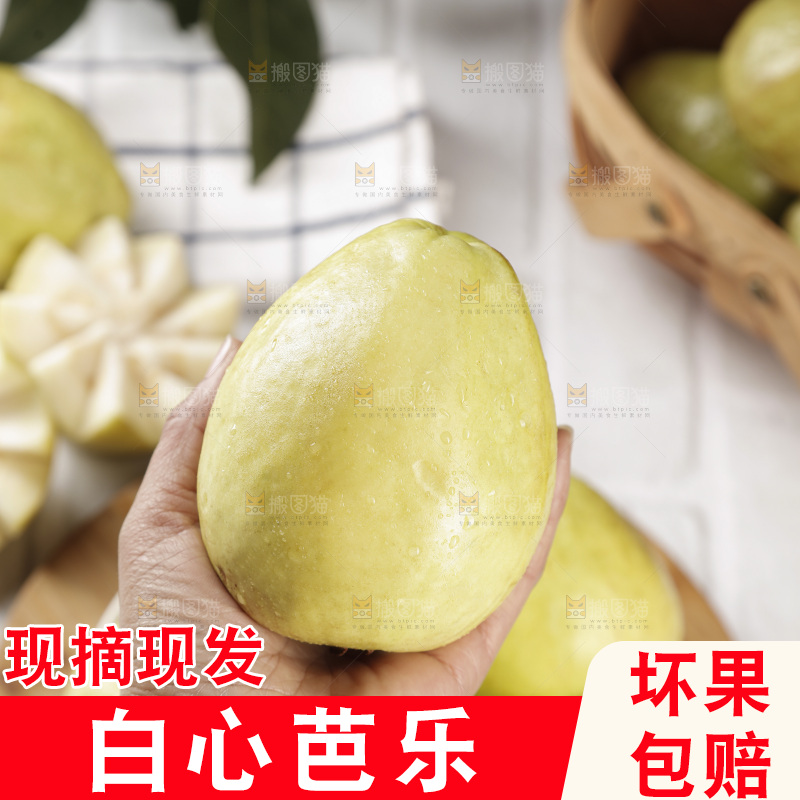 白心芭乐
