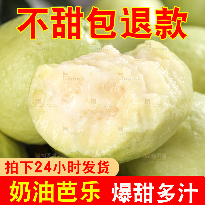 白心芭乐