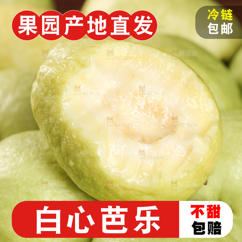 白心芭乐