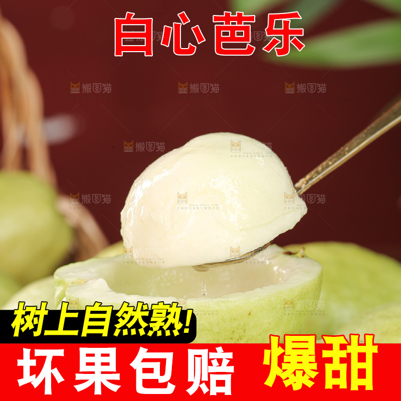 白心芭乐