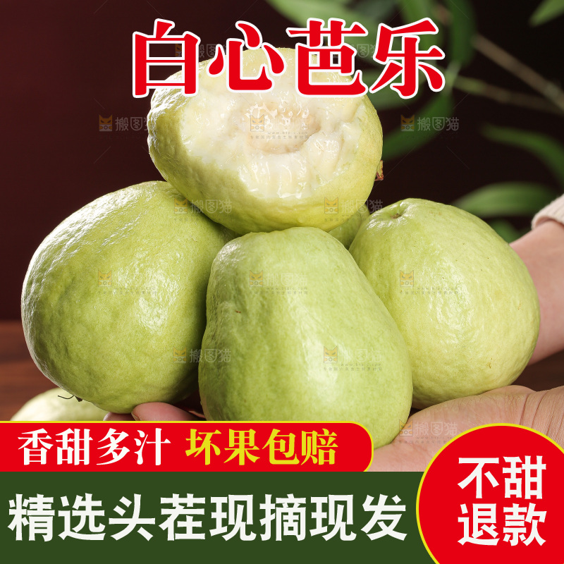 白心芭乐