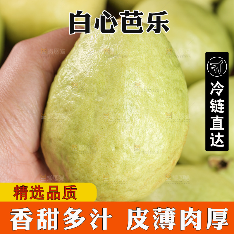 白心芭乐