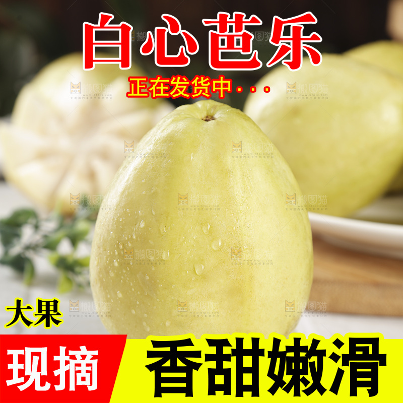 白心芭乐