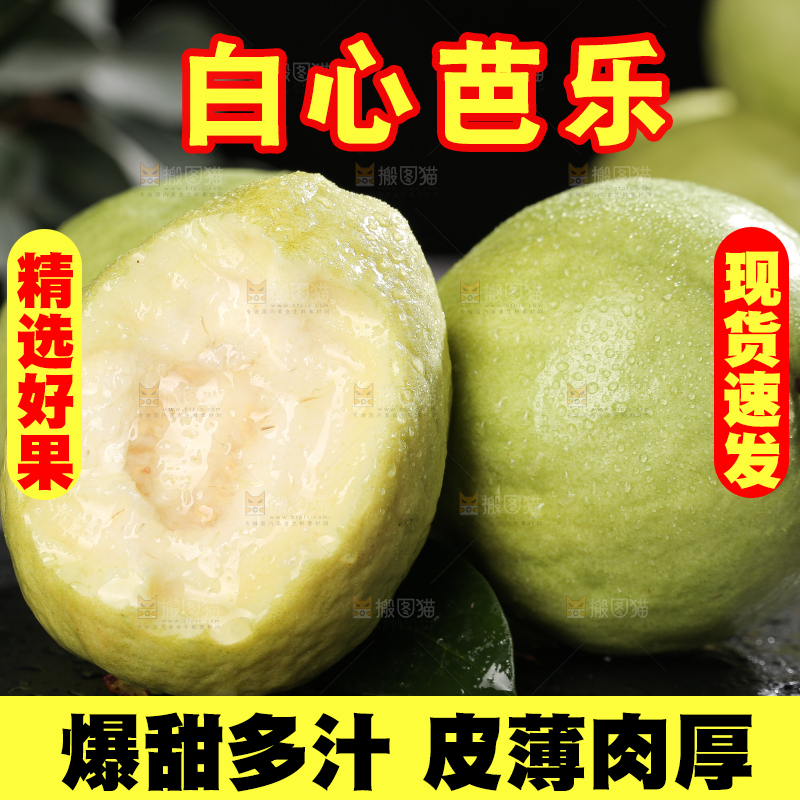 白心芭乐