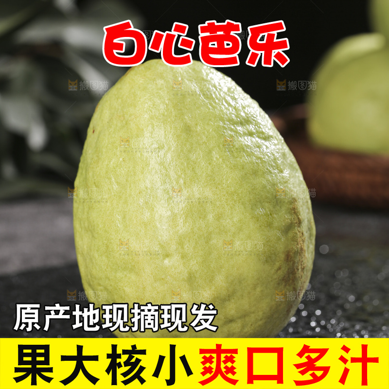 白心芭乐